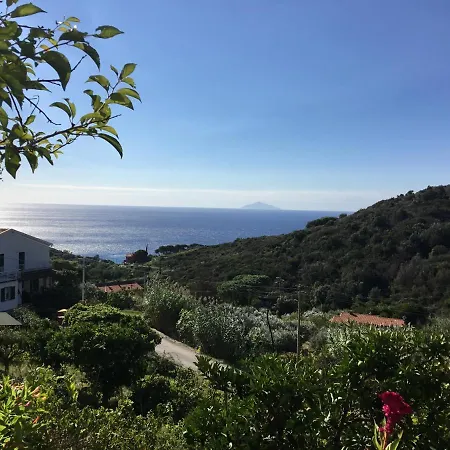 Il Cavolo Nero *