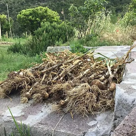 Feriehus Il Cavolo Nero