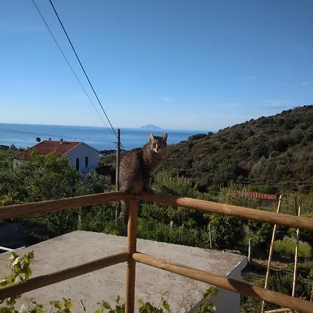 Il Cavolo Nero Seccheto