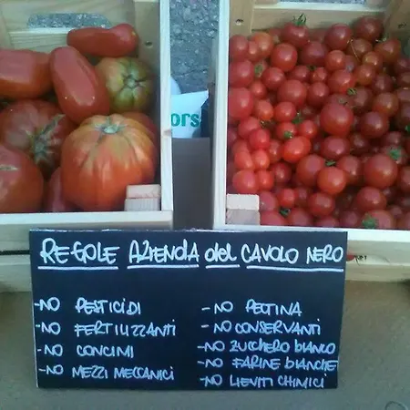 Feriehus Il Cavolo Nero